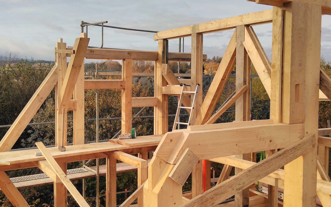 Proč bychom měli znovu stavět domy jako ve středověku